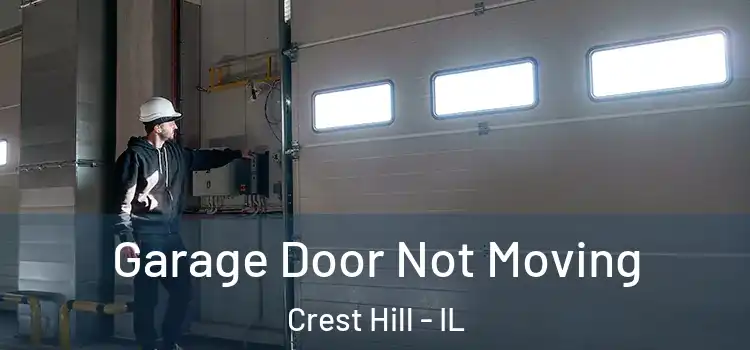  Garage Door Not Moving Crest Hill - IL