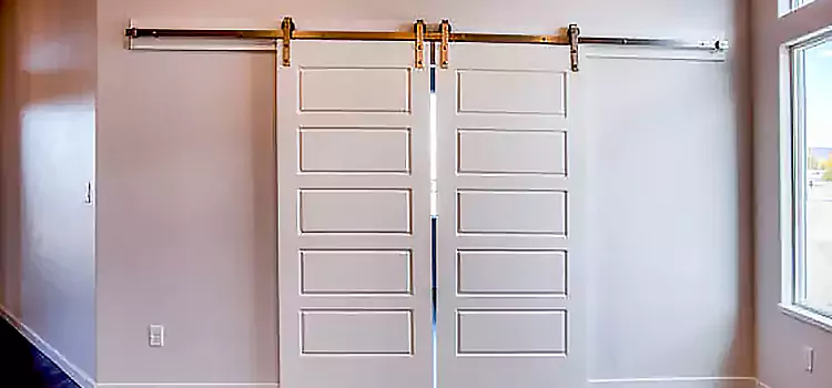 Glass Barn Door with Installation Hardware Kit Crest Hill