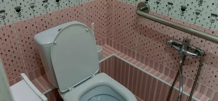 Meeting Diverse Needs With Accessible Restroom Solutions in Crest Hill, IL