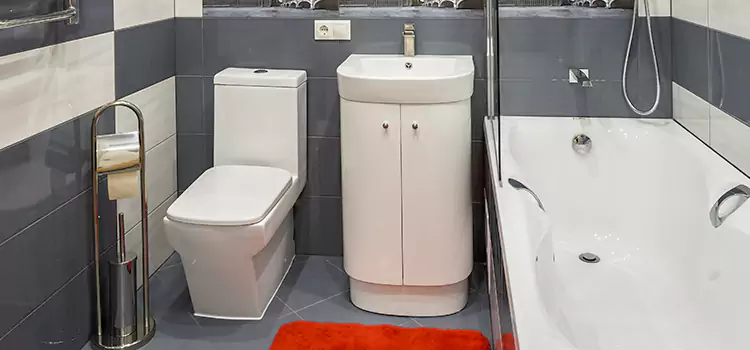 Hansgrohe Shaving Mirror Crest Hill